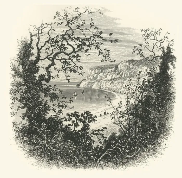 Framed Print : View from the Entrance to Shanklin Chine, c1870 Framed Print : View from the Entrance to Shanklin Chine, c1870