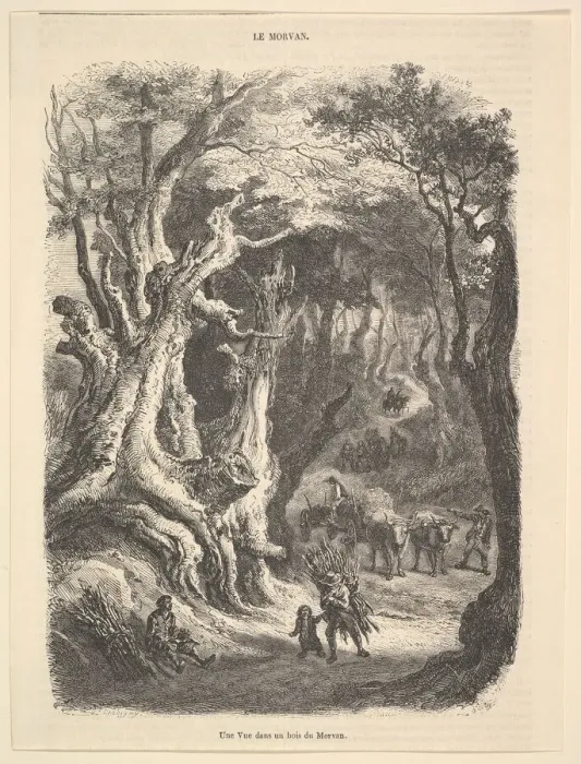Framed Print : A View in the Forest of Morvan, 1837-66. Creator: Jean-Antoine Watteau Framed Print : A View in the Forest of Morvan, 1837-66. Creator: Jean-Antoine Watteau