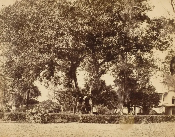Framed Print : View From Our Garden, Dum Dum, 1850s. Creator: Captain R. B. Hill Framed Print : View From Our Garden, Dum Dum, 1850s. Creator: Captain R. B. Hill