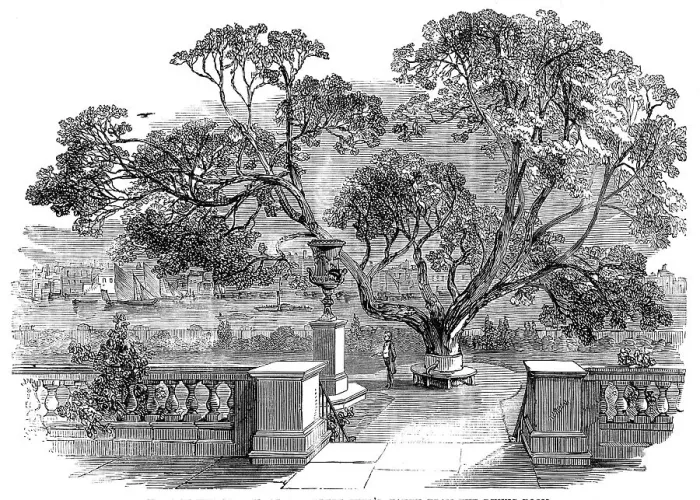 Framed Print : View of the Garden, at Sir Robert Peel's, taken from the Dining-Room, 1850. Creator: Unknown Framed Print : View of the Garden, at Sir Robert Peel's, taken from the Dining-Room, 1850. Creator: Unknown