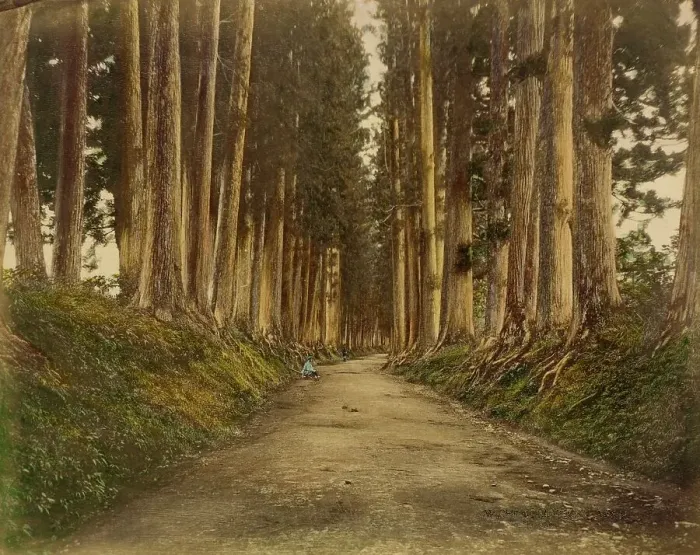 Framed Print : View of Imaichi, 1865. Creator: Unknown Framed Print : View of Imaichi, 1865. Creator: Unknown