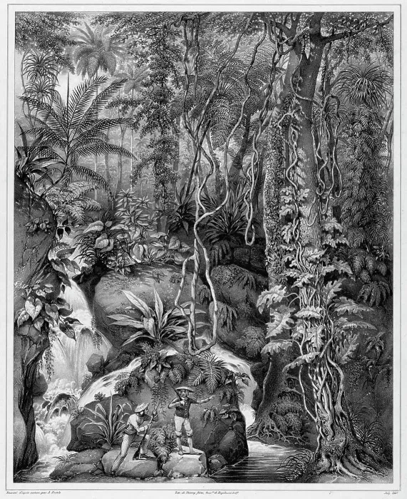Framed Print : View of the Interior of Luzon Island, Philippine Islands, 19th century. Creators: Alexander Postels, Godefroy Engelmann Framed Print : View of the Interior of Luzon Island, Philippine Islands, 19th century. Creators: Alexander Postels, Godefroy Engelmann