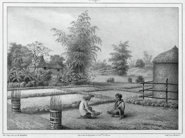 Framed Print : View of the Interior, Luzon Island, Philippines, 19th century. Creators: Friedrich Heinrich Kittlitz, Victor Adam, Godefroy Engelmann