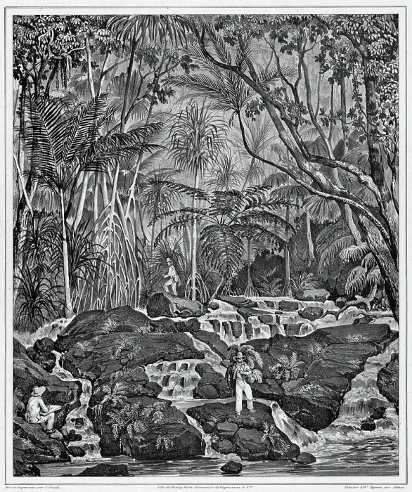 Framed Print : View of the Interior of Peel Island, Bonin Islands, 19th century. Creators: Alexander Postels, Victor Adam, Godefroy Engelmann Framed Print : View of the Interior of Peel Island, Bonin Islands, 19th century. Creators: Alexander Postels, Victor Adam, Godefroy Engelmann