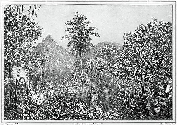 View of Kosrae Island, Caroline Islands, 19th century. Creators: Friedrich Heinrich Kittlitz, Godefroy Engelmann, Jules David