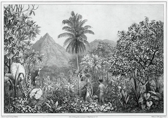 Framed Print : View of Kosrae Island, Caroline Islands, 19th century. Creators: Friedrich Heinrich Kittlitz, Godefroy Engelmann, Jules David Framed Print : View of Kosrae Island, Caroline Islands, 19th century. Creators: Friedrich Heinrich Kittlitz, Godefroy Engelmann, Jules David
