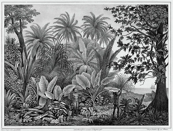 View of Lukunor Island, Lower Caroline Islands, 19th century. Creators: Alexander Postels, Godefroy Engelmann, Emile-Charles Wattier