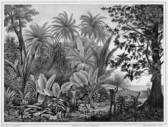 Framed Print : View of Lukunor Island, Lower Caroline Islands, 19th century. Creators: Alexander Postels, Godefroy Engelmann, Emile-Charles Wattier Framed Print : View of Lukunor Island, Lower Caroline Islands, 19th century. Creators: Alexander Postels, Godefroy Engelmann, Emile-Charles Wattier