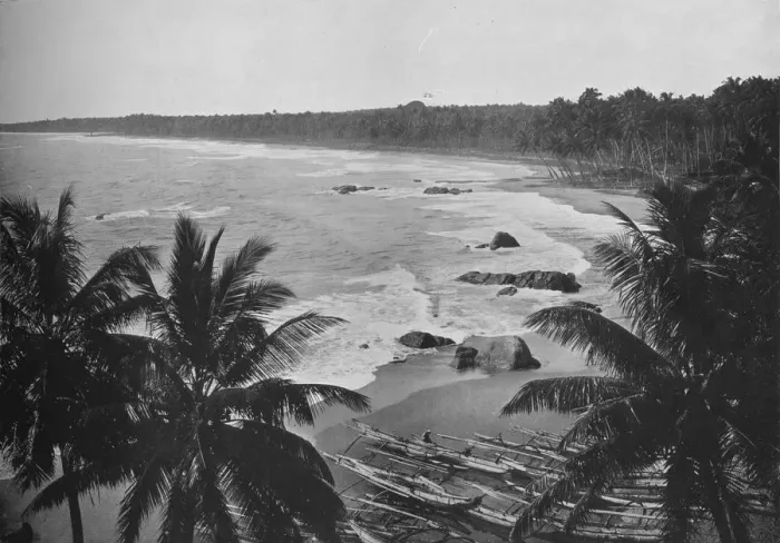 Framed Print : View from Mount Lavinia, Showing Cocoanut Palms along Seashore, c1890, (1910). Artist: Alfred William Amandus Plate Framed Print : View from Mount Lavinia, Showing Cocoanut Palms along Seashore, c1890, (1910). Artist: Alfred William Amandus Plate