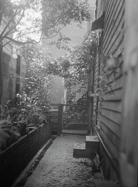 View down narrow outdoor passageway, New Orleans or Charleston, South Carolina, c1920-1926. Creator: Arnold Genthe