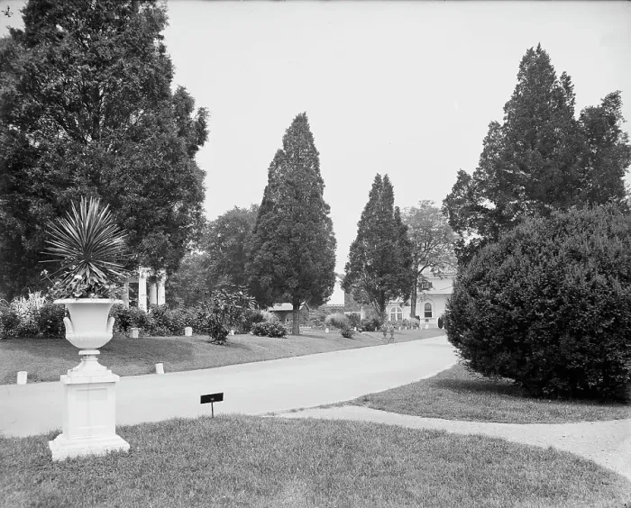 Framed Print : View in National Cemetery, Arlington, Va. between 1900 and 1910. Creator: Unknown Framed Print : View in National Cemetery, Arlington, Va. between 1900 and 1910. Creator: Unknown