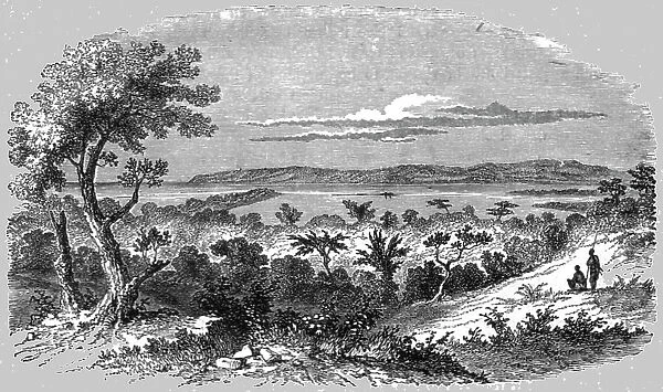 View near Durban; A Few Words about Natal and Zululand, 1875. Creator: Unknown
