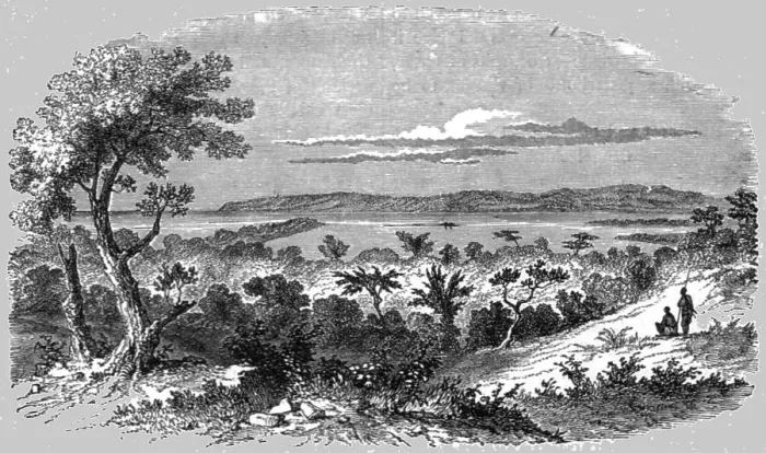 Framed Print : View near Durban; A Few Words about Natal and Zululand, 1875. Creator: Unknown Framed Print : View near Durban; A Few Words about Natal and Zululand, 1875. Creator: Unknown