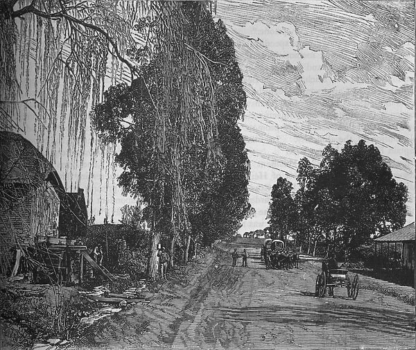 View near Pretoria, c1880