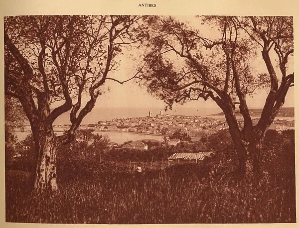 View through the olives-trees to Antibes, 1930. Creator: Unknown