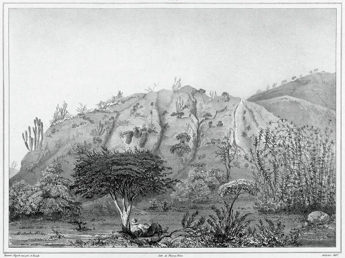 Framed Print : View of the Outskirts of Valparaiso, Chile, 19th century. Creators: Alexander Postels, Leon Jean-Baptiste Sabatier Framed Print : View of the Outskirts of Valparaiso, Chile, 19th century. Creators: Alexander Postels, Leon Jean-Baptiste Sabatier
