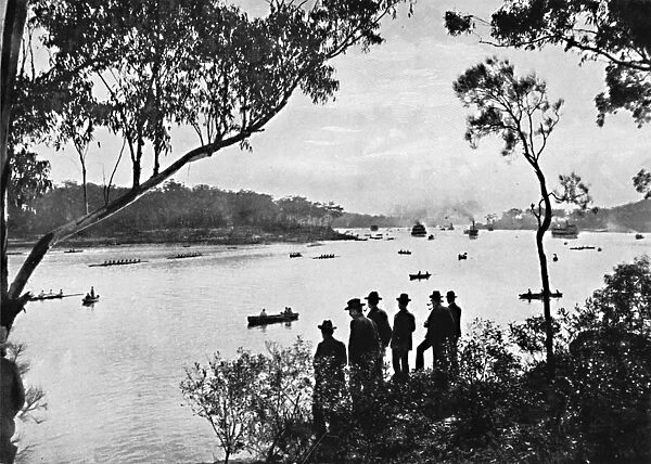 View on the Parramatta River, c1900. Creator: Unknown