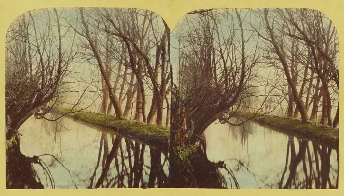 Framed Print : A View on the River Lea, In Essex, about 1860. Creator: London Stereoscopic & Photographic Co Framed Print : A View on the River Lea, In Essex, about 1860. Creator: London Stereoscopic & Photographic Co
