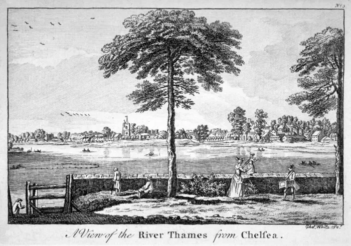 Framed Print : View of the River Thames from Chelsea, London, 1750 Framed Print : View of the River Thames from Chelsea, London, 1750