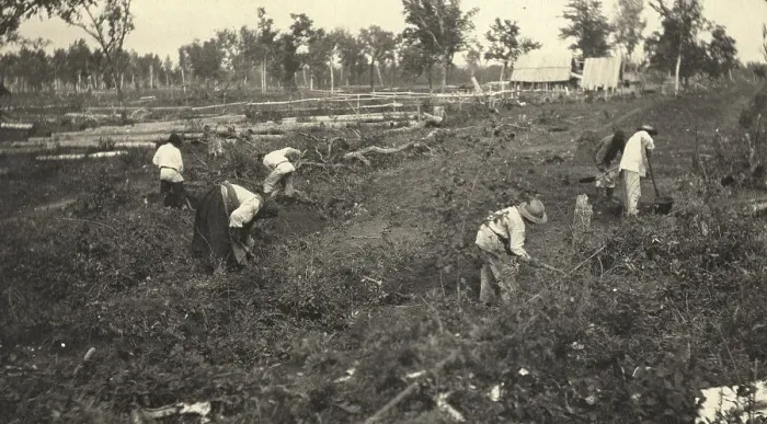 Framed Print : View of the road construction near the village of Practichi, 1909. Creator: Vladimir Ivanovich Fedorov Framed Print : View of the road construction near the village of Practichi, 1909. Creator: Vladimir Ivanovich Fedorov