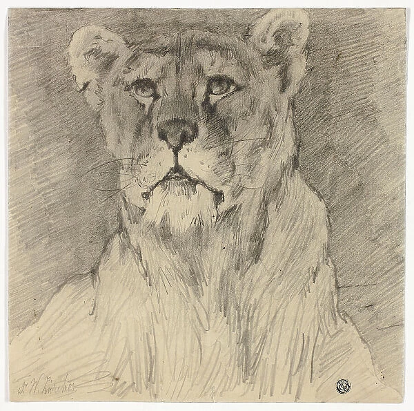 Front View of Seated Lioness, n.d. Creator: Frederik William Zurcher
