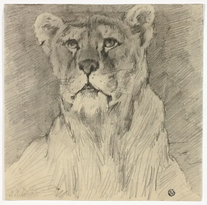 Framed Print : Front View of Seated Lioness, n.d. Creator: Frederik William Zurcher Framed Print : Front View of Seated Lioness, n.d. Creator: Frederik William Zurcher