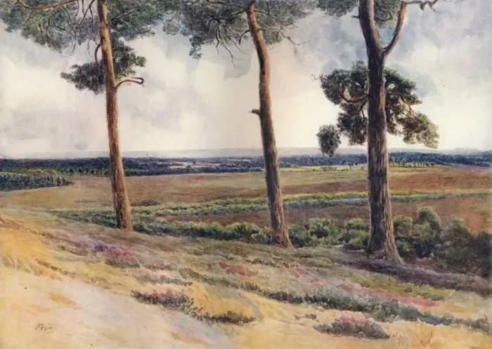 Framed Print : View from Staple Hill, 1911, (1914). Artist: Jamess Ogilvy Framed Print : View from Staple Hill, 1911, (1914). Artist: Jamess Ogilvy