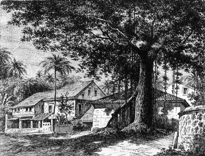 Framed Print : View of a Street in Mazago, Bombay, c1891. Creator: James Grant
