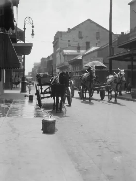 Framed Print : View down a street, New Orleans or Charleston, South Carolina, between 1920 and 1926. Creator: Arnold Genthe Framed Print : View down a street, New Orleans or Charleston, South Carolina, between 1920 and 1926. Creator: Arnold Genthe