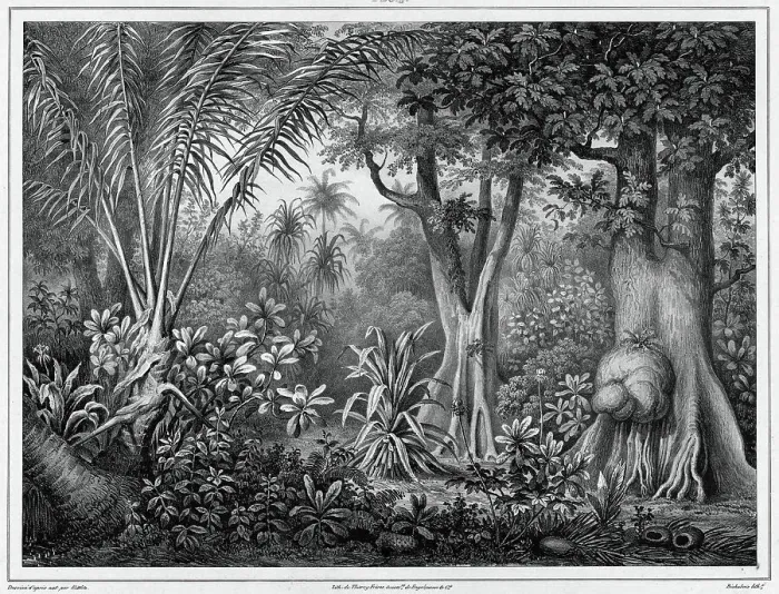Framed Print : View Taken in the Interior of the Lower Caroline Islands, 19th century. Creators: Friedrich Heinrich Kittlitz, Godefroy Engelmann, Louis-Pierre-Alphonse Bichebois Framed Print : View Taken in the Interior of the Lower Caroline Islands, 19th century. Creators: Friedrich Heinrich Kittlitz, Godefroy Engelmann, Louis-Pierre-Alphonse Bichebois