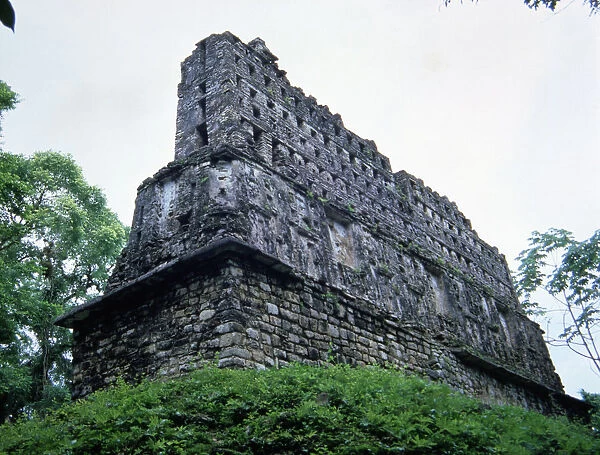 Back view of the temple number 33, known as Temple of the bird and the jaguar in