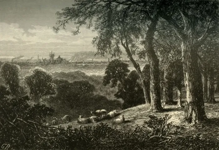 Framed Print : View from West Park, 1874. Creator: Granville Perkins Framed Print : View from West Park, 1874. Creator: Granville Perkins
