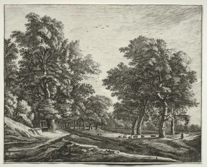 Framed Print : Six view in the wood of the Hague: Goats Under the Trees. Creator: Roelant Roghman (Dutch Framed Print : Six view in the wood of the Hague: Goats Under the Trees. Creator: Roelant Roghman (Dutch