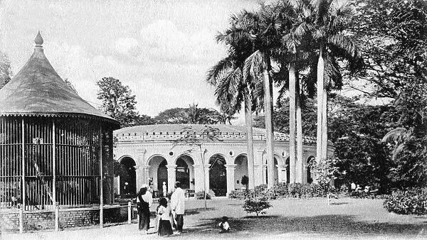 View in the Zoological Gardens, Calcutta, India, early 20th century