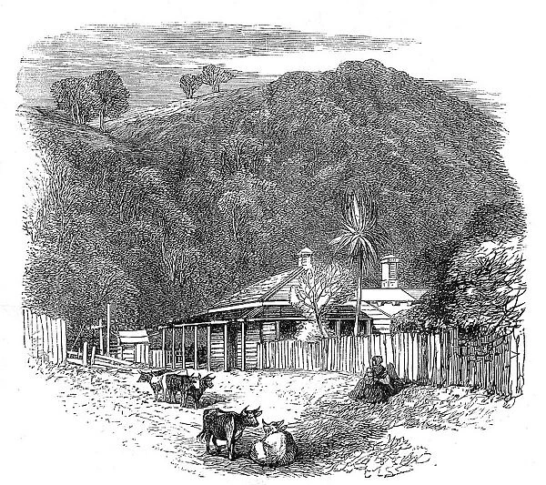 Views at the Seat of the War in New Zealand: settler's house at Waikato, 1864. Creator: Unknown