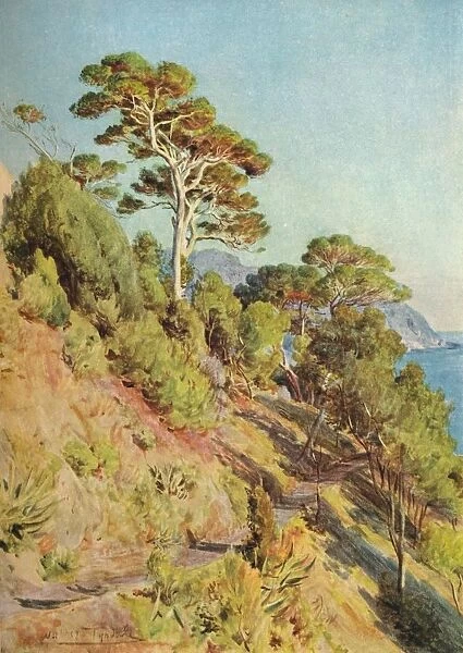 In the Villa Piuma, Sestri Levante, c1910, (1912). Artist: Walter Frederick Roofe Tyndale