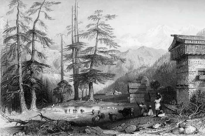 Framed Print : Village of Koghera & Deodar Forest, 1845. Creator: Unknown. Village of Koghera & Deodar Forest, 1845. Creator: Unknown Framed Print : Village of Koghera & Deodar Forest, 1845. Creator: Unknown. Village of Koghera & Deodar Forest, 1845. Creator: Unknown