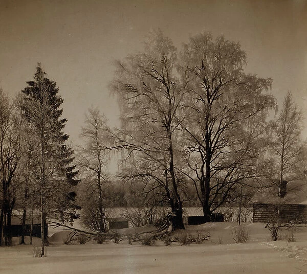Village of Turovo, Luzhskii district, Saint Petersburg province, between 1905 and 1915. Creator: Sergey Mikhaylovich Prokudin-Gorsky
