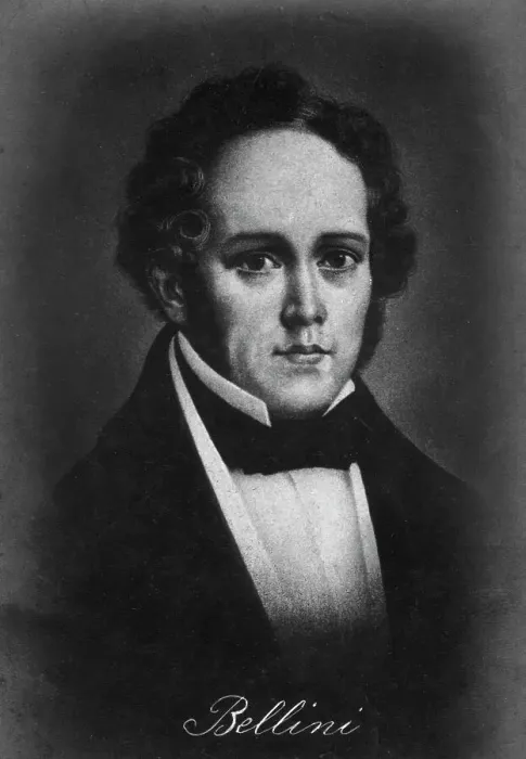 Framed Print : Vincenzo Bellini (1801-1835), Italian composer, 20th century Framed Print : Vincenzo Bellini (1801-1835), Italian composer, 20th century
