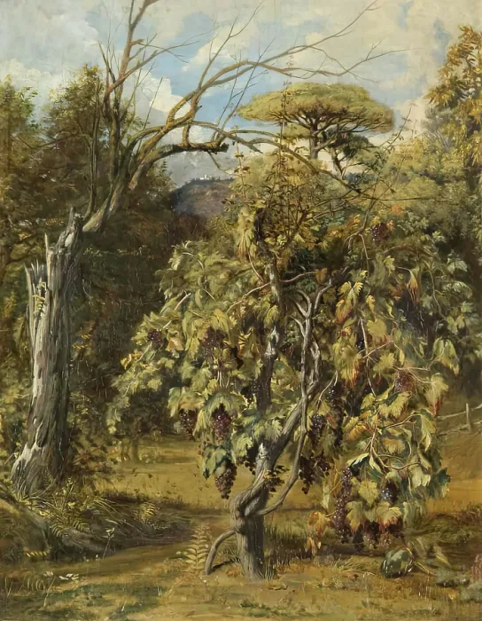 Framed Print : A Vineyard, Gensano, Rome, 1833 - 1838. Creator: Robert Scott Lauder