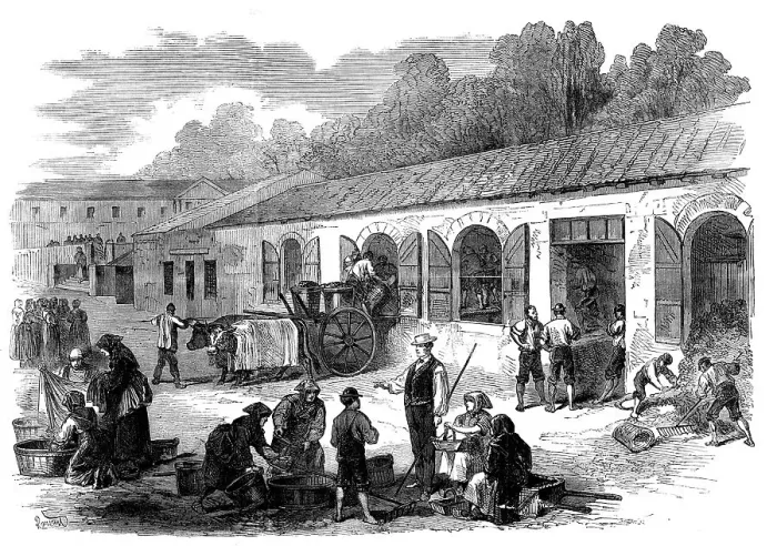 Framed Print : The Vintage of Medoc: the cuvier at Chateau Lafitte, 1871. Creator: Unknown Framed Print : The Vintage of Medoc: the cuvier at Chateau Lafitte, 1871. Creator: Unknown