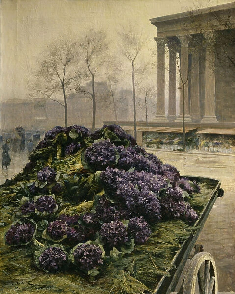 Violets from Nice, 1902. Creator: Krachkovsky, Iosiph Evstafievich (1854-1914)