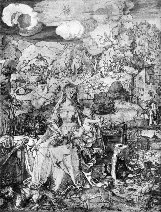 Framed Print : The Virgin and many animals, 1505, (1936). Artist: Albrecht Durer Framed Print : The Virgin and many animals, 1505, (1936). Artist: Albrecht Durer