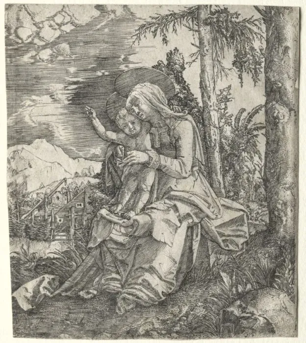 Framed Print : The Virgin in a Landscape, c. 1515. Creator: Albrecht Altdorfer (German, c. 1480-1538) Framed Print : The Virgin in a Landscape, c. 1515. Creator: Albrecht Altdorfer (German, c. 1480-1538)