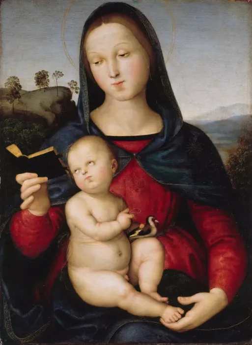 Framed Print : The virgin Mary is reading a book (The Solly Madonna), c. 1502-1503 Framed Print : The virgin Mary is reading a book (The Solly Madonna), c. 1502-1503