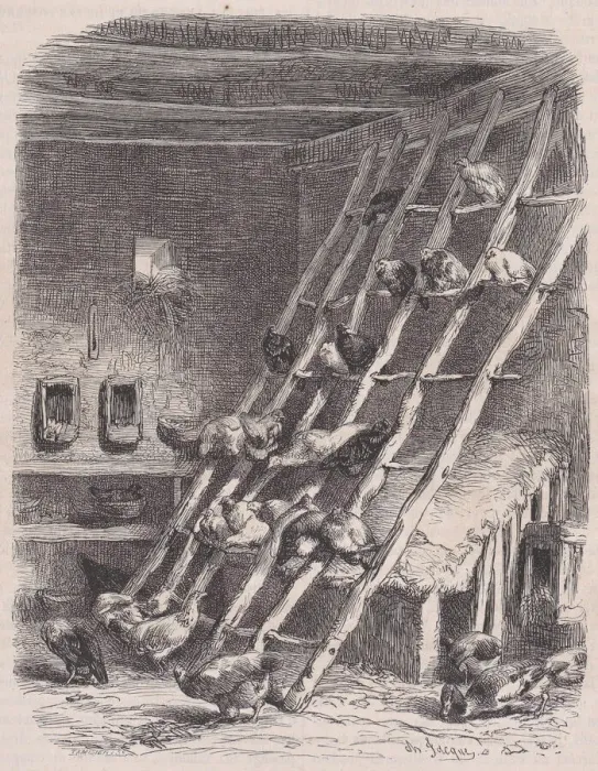 Framed Print : Visit to a Farm - The Roost, from Le Magasin Pittoresque, ca. 1852 Framed Print : Visit to a Farm - The Roost, from Le Magasin Pittoresque, ca. 1852