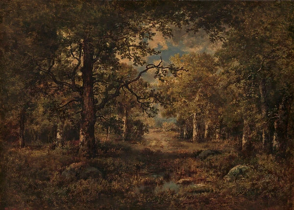 A Vista through Trees: Fontainebleau, 1873. Creator: Narcisse Virgile Diaz de la Pena