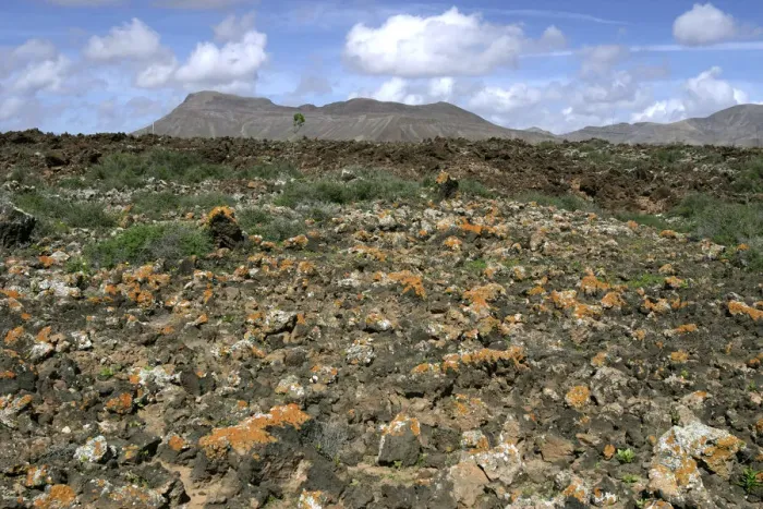 Framed Print : Volcanic landscape, Malpais Grande, Fuerteventura, Canary Islands Framed Print : Volcanic landscape, Malpais Grande, Fuerteventura, Canary Islands
