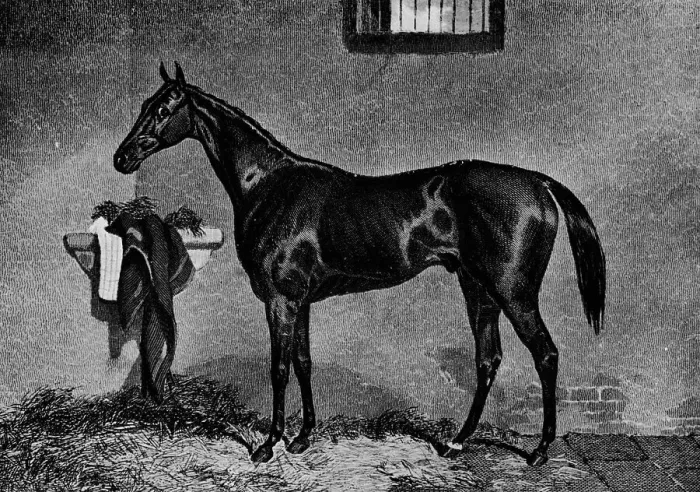 Framed Print : Voltigeur, 1847-1874, (1911) Framed Print : Voltigeur, 1847-1874, (1911)