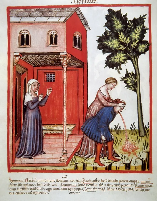Framed Print : Vomiting, 14th century. Creator: Unknown Framed Print : Vomiting, 14th century. Creator: Unknown